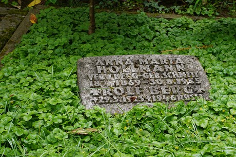 Bad Godesberg